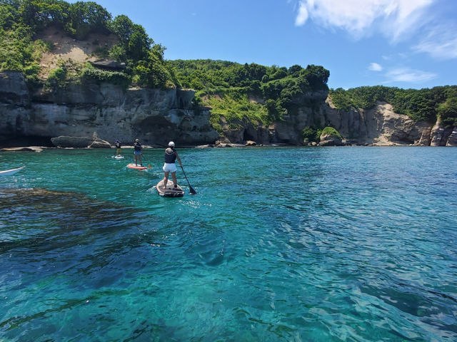 碧く映える海へ_SAVE BLEU