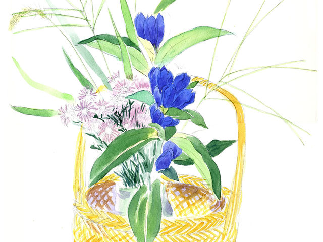 秋草スケッチ 水彩画_アート陽風 絵本と水彩画教室 茂原