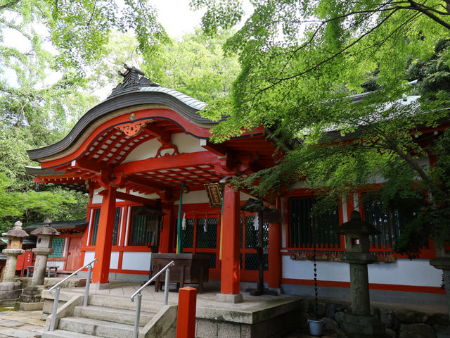 瑜伽神社