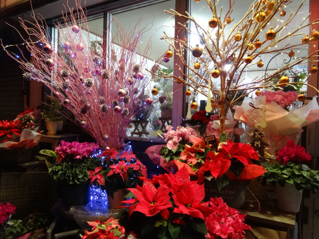 花はなゑみ笑