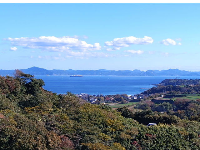 天気が良ければ房総半島が一望できるロケーション_飯島みかん園