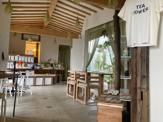 体験を行う店内の様子。設計は建築家の隈健吾氏によるものです。_TEAISM SHOP