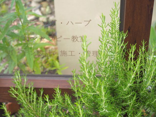 花音の森