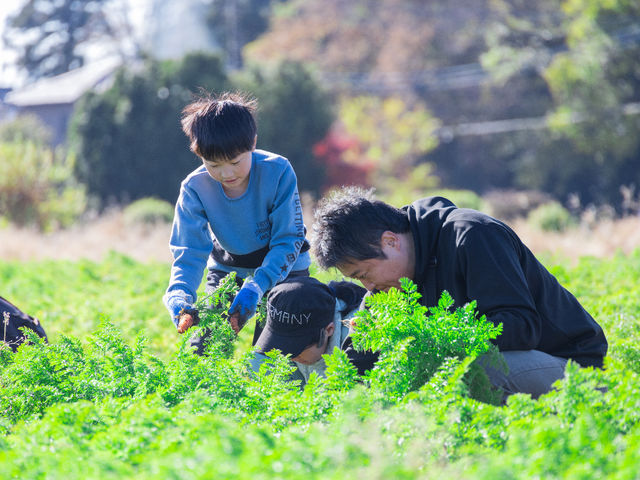 しゅん・あぐり野田農場