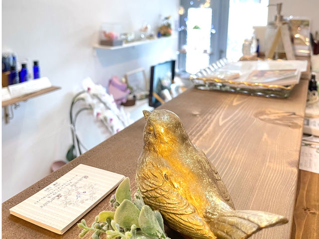 サロン内のカウンターからの風景です_Camomille Matricaire