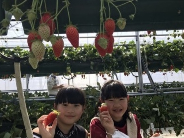 阿部農園