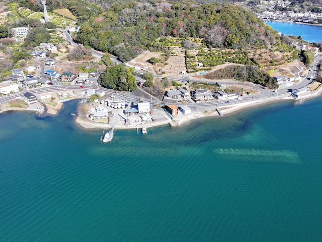 アクティブ浜名湖