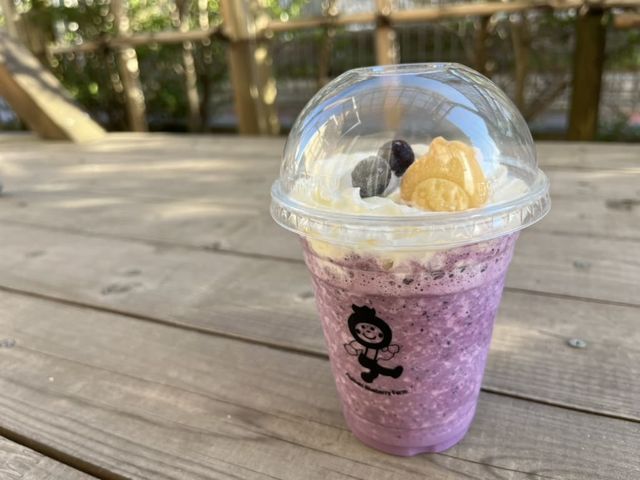 新作ブルーベリースムージー!_藤崎ブルーベリーファーム