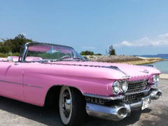 Pink Cadillac Location Service̎ʐ^1