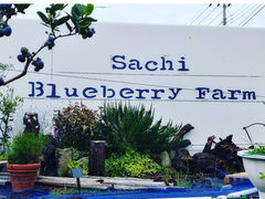 Sachi Blueberry Farm̎ʐ^1
