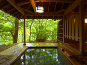 「四季の湯座敷」 武蔵野別館の写真3