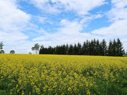 黒田農場の写真1