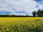 黒田農場の写真2