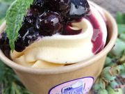 Sachi Blueberry Farmの写真2