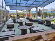 Sachi Blueberry Farmの写真4