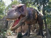 ディノアドベンチャー名古屋の写真2