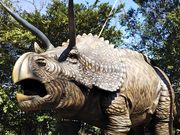 ディノアドベンチャー名古屋の写真4