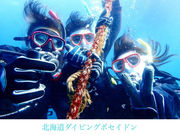 北海道ダイビングショップ Poseidonの写真2