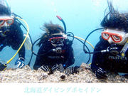 北海道ダイビングショップ Poseidonの写真3