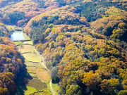 かわせみハウスの写真4