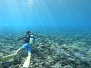 BeNatural Divingの写真2