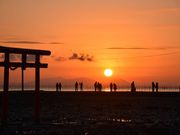 山本農園の写真2