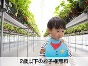 イチゴハウスフルーミングの写真4