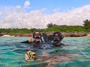 CHURA宮古島の写真3