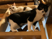 LongHills Eco Guesthouse and Cafeの写真2