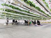 ITADAKI FARM OGORI(いただきいちご園)の写真2