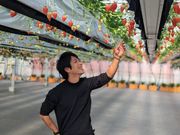ITADAKI FARM OGORI(いただきいちご園)の写真3