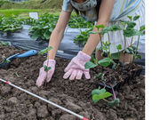ジコモfarmの写真3