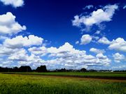 HeartichFarm ハーティッチファームの写真3