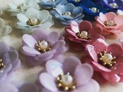Fairy dropの写真4