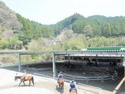 乗馬クラブクレイン三重の写真3