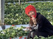 中野ストロベリーファームの写真3