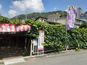 中野(中宗)農園(柏原市観光ぶどうセンター太平寺支部)の写真3