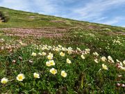 Guide Office Pikaの写真3