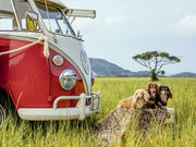 PhotoBus Japanの写真2