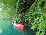 FEELGOOD CANOE TOURSの写真3