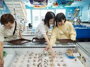 アオハタ鮮魚店の写真3