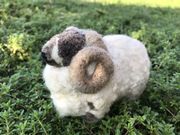 羊の工房 パオの写真2