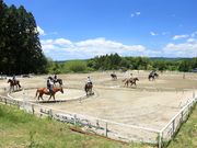 乗馬クラブクレイン恵那の写真3