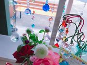 サンクチュアリの写真2