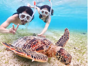 ちゃこたびの写真2