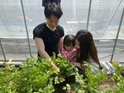 ヒロシ農園 千葉県市原市パクチー専門農家の写真2