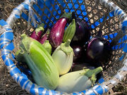 みぶマルヨシ農園の写真2