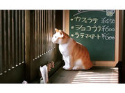 カフェ 猫衛門の写真2