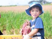 しゅん・あぐり野田農場の写真2
