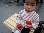 阿部農園の写真2